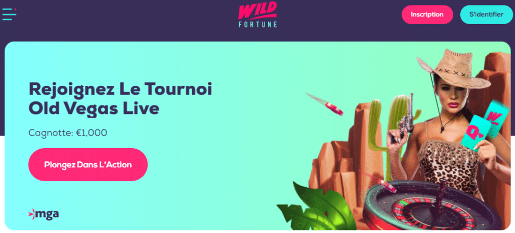 Casino Wild Fortune Page de Démarrage